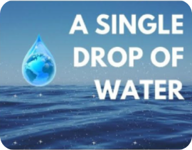 A Single Drop of Water
