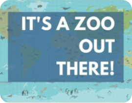 Its A Zoo Out There!